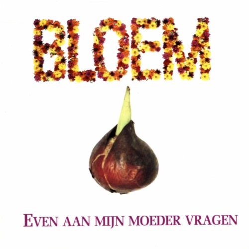 Even aan mijn moeder vragen封面