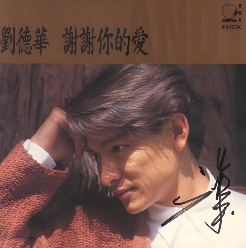 谢谢你的爱封面