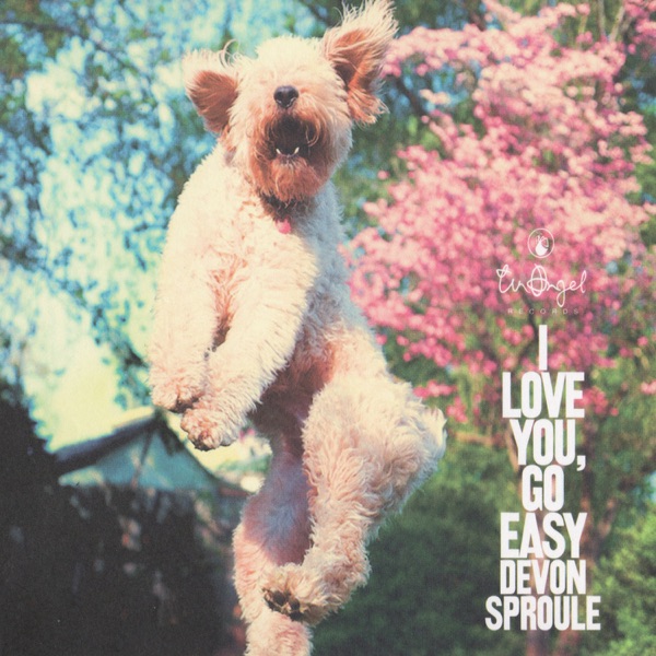 I Love You, Go Easy封面