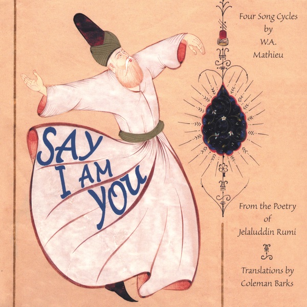 Say I Am You封面
