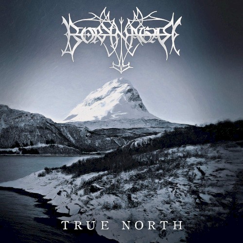 True North封面