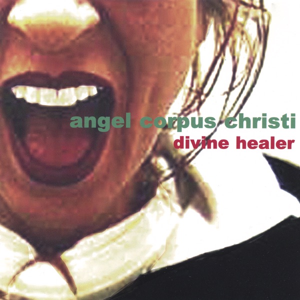Divine Healer封面