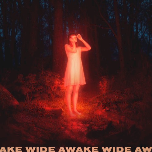 Wide Awake封面
