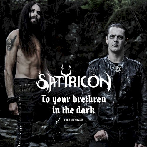 To Your Brethren in the Dark封面