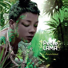 Perle l'amazone封面