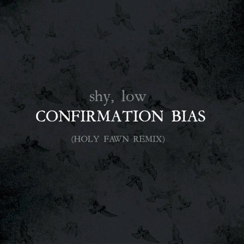 Confirmation Bias (Holy Fawn Remix)封面