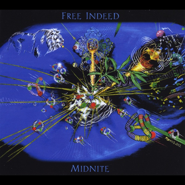 Free Indeed封面