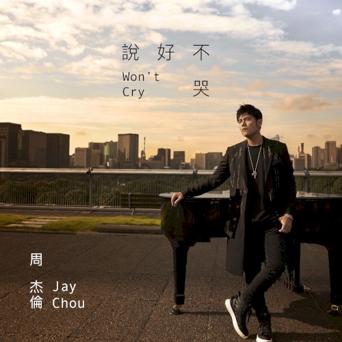 说好不哭 (Won't Cry)封面