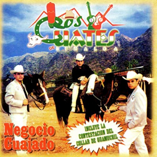 Negocio Cuajado封面