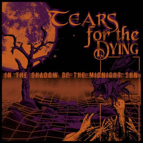 In the Shadow of the Midnight Sun封面
