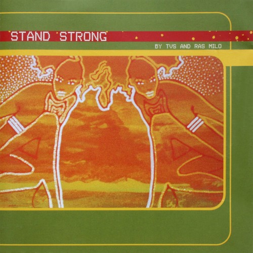 Stand Strong封面