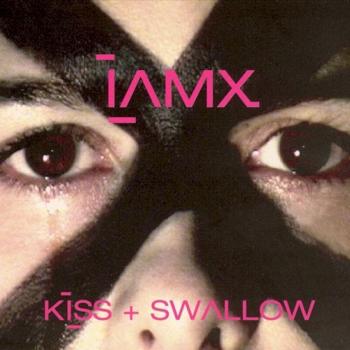 Kiss + Swallow封面