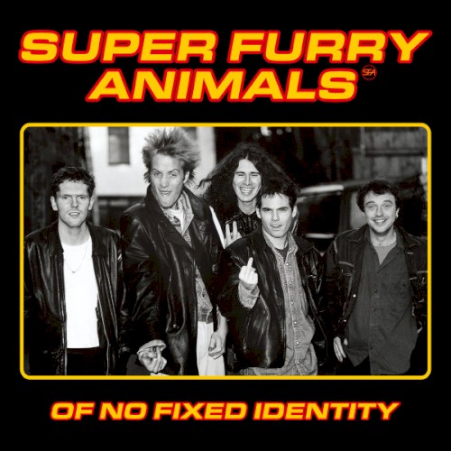 Of No Fixed Identity封面