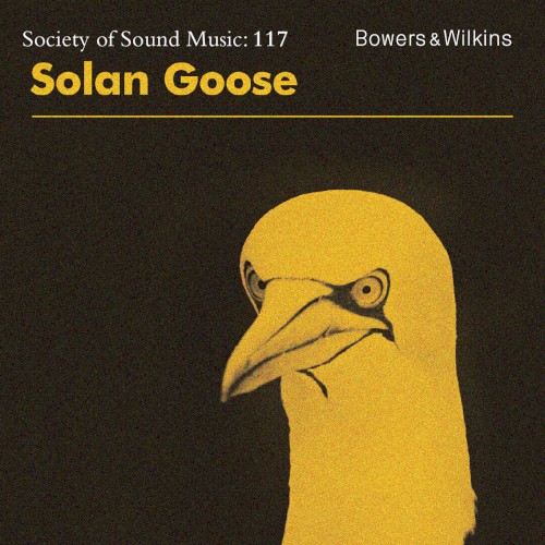 Solan Goose封面