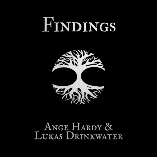 Findings封面