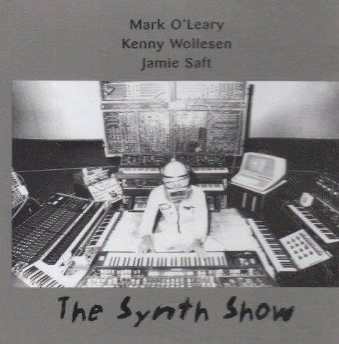 The Synth Show封面