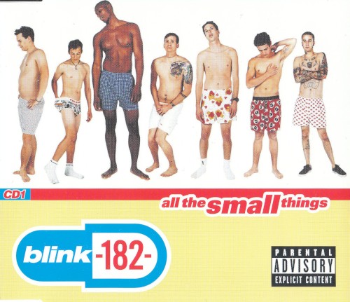 All the Small Things封面