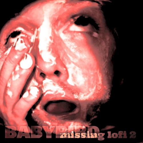 Missing Lofi 2封面