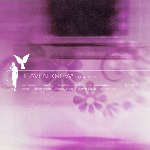 Heaven knows (remixes)封面