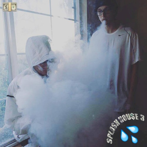 $pla$h Hou$e 3封面