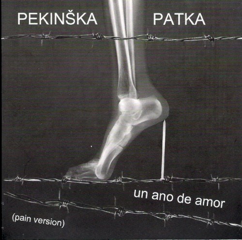 Un ano de amor封面