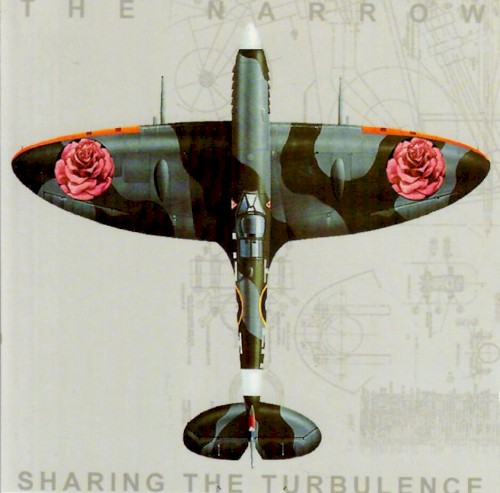 Sharing the Turbulence封面
