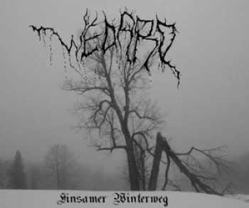 Einsamer Winterweg封面