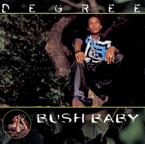 Bush Baby封面
