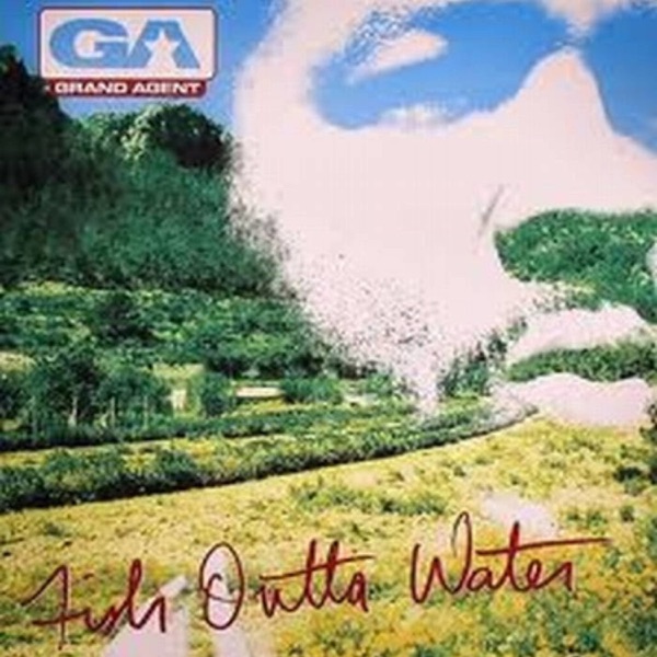 Fish Outta Water封面