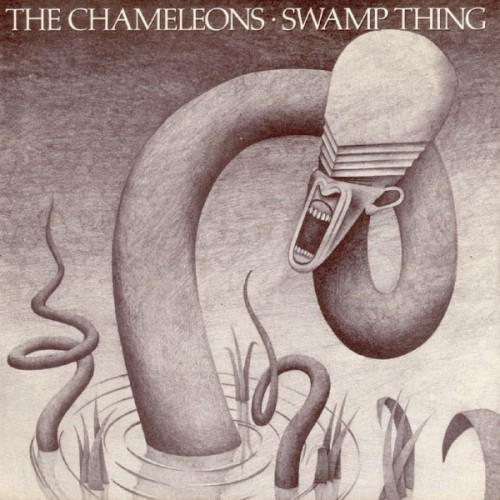 Swamp Thing封面
