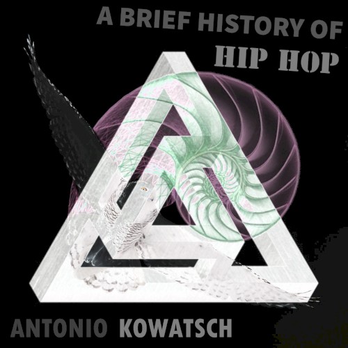 A Brief History of Hip Hop封面