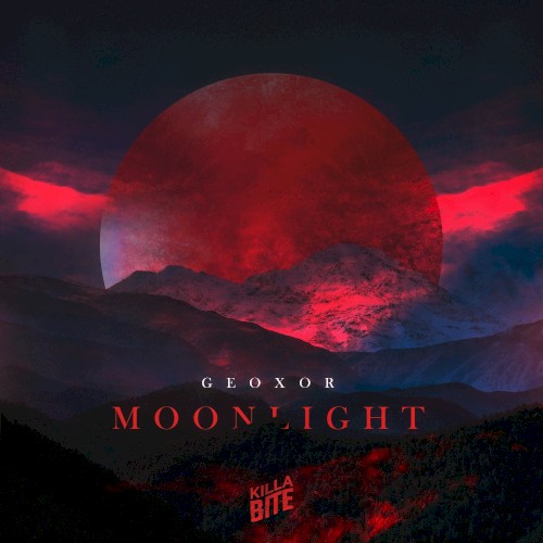 Moonlight封面