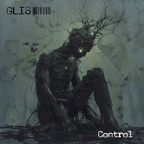 Control封面
