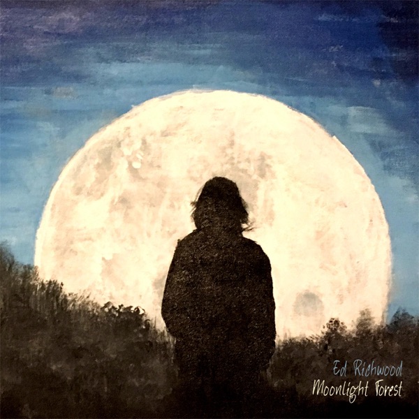 Moonlight Forest封面