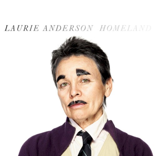 Homeland封面