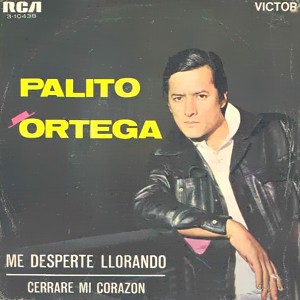 Me desperté llorando封面