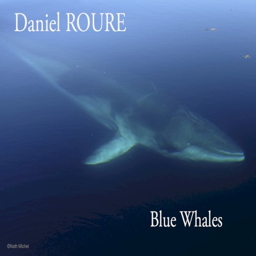 Blue Whales封面
