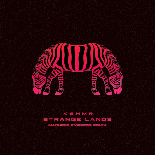 Strange Lands (Madness Express Remix)封面