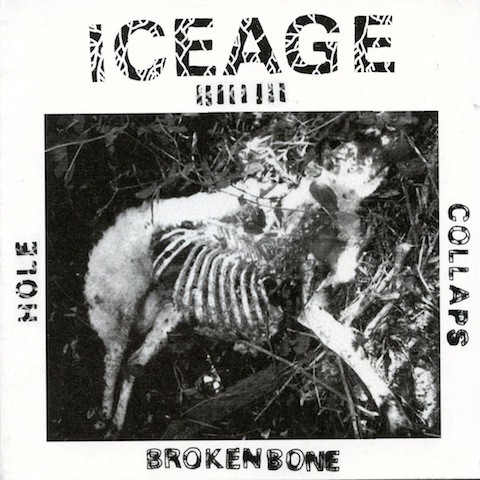 Iceage封面