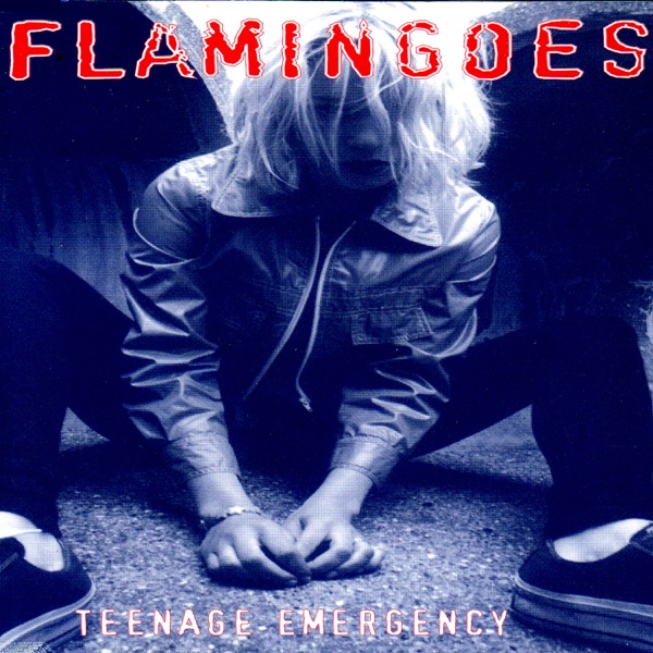 Teenage Emergency封面