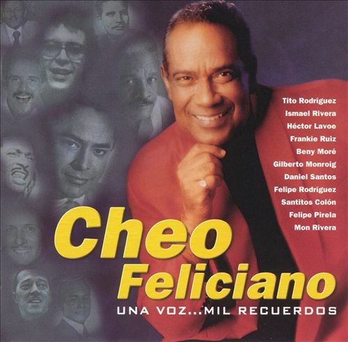 Una voz... mil recuerdos封面
