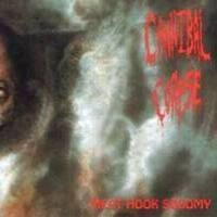 Meat Hook Sodomy封面