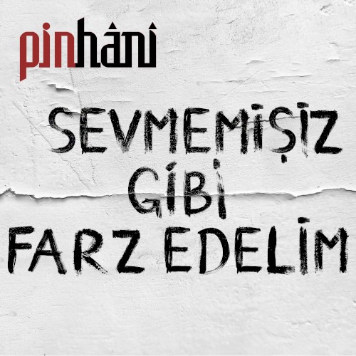 Sevmemişiz Gibi Farz Edelim封面