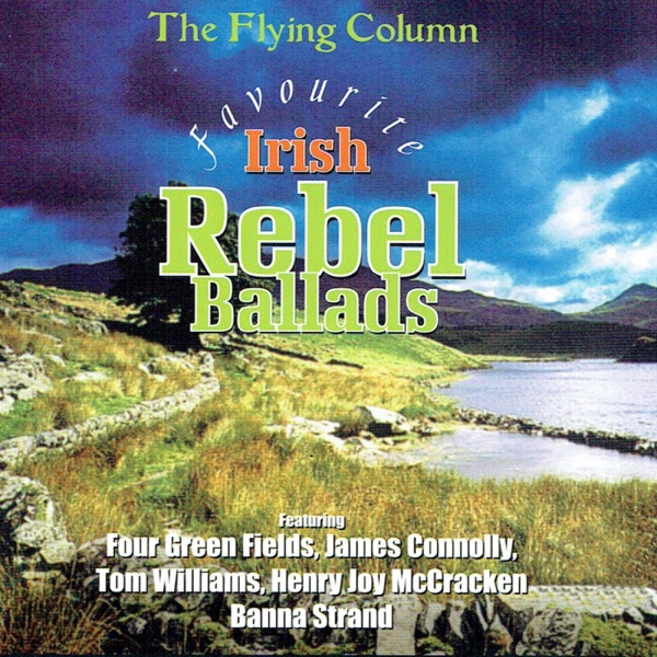 Favourite Irish Rebel Ballads封面