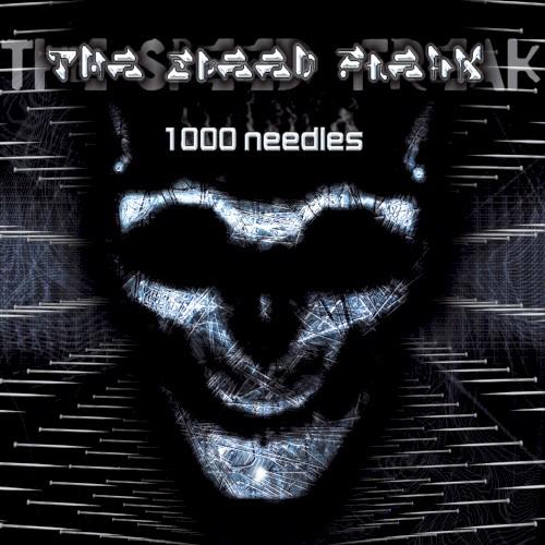 1000 Needles封面
