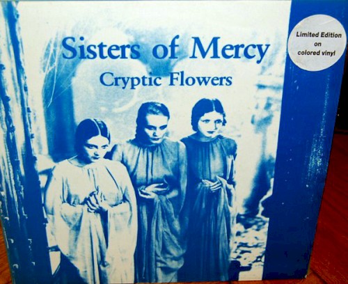 Cryptic Flowers封面