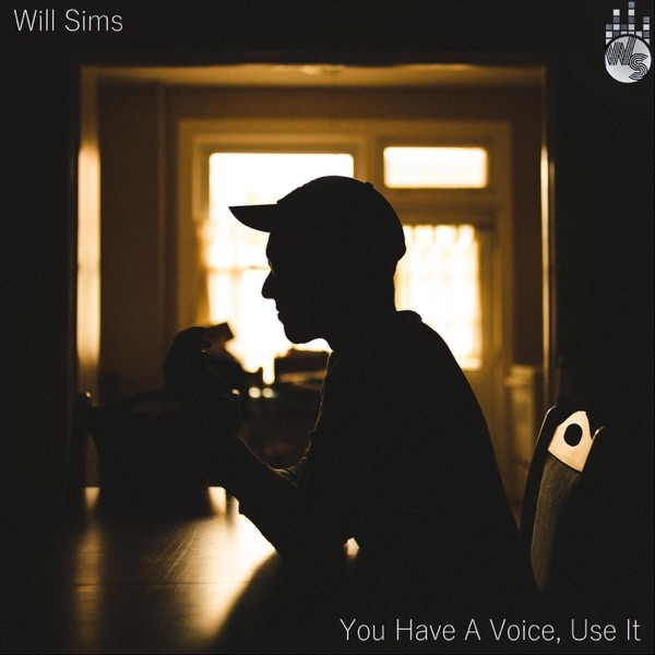 You Have a Voice, Use It封面