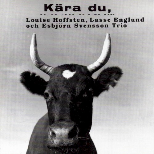 Kära du封面