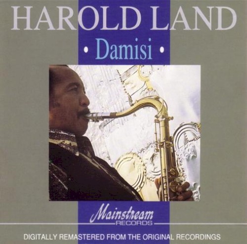Damisi封面