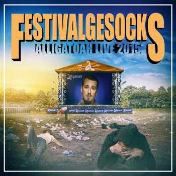 Festivalgesocks封面